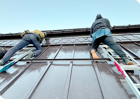 害獣の駆除の様子